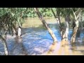 Murrumbidgee River @ Wagga 5th March 2012 at ...