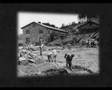 Concentration Camp - Sad Video