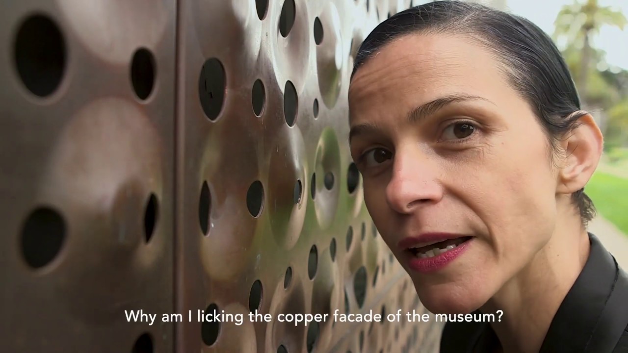 In a new exhibition, Detour, artist Ana Prvački takes you on a tour of the museum.