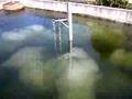 Submersible pumps Aerators