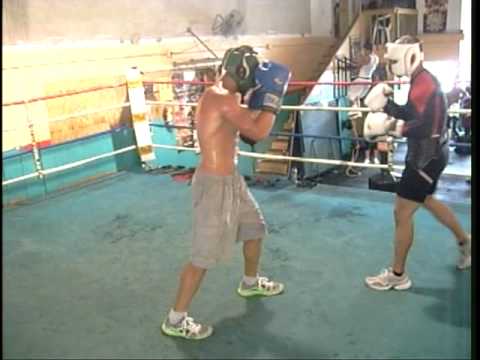 Boxer aleman