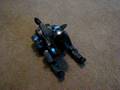 Aibo Booting
