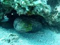 scubadiving-in-eilat-13102007-part-2.html