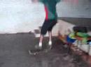 Ronaldo e Dgar
