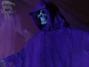 Florida Halloween