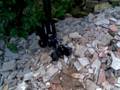 videos de Unistar lego truck trial poland