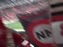 NN SLBENFICA-fcmerda