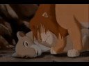 The Lion Kings - Blind Man (Dedicated to KiarasMate)