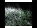 Triosk / The Headlight Serenades Triosk / The Headlight Serenades