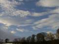 A Happy Walk In The Snow.wmv