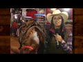 Final Super Horse 3 Tambores Brasil - Faltam 4 dias!!!