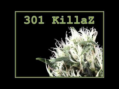 301killaz - This song Isnt done.