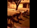 junin bod�o noite a fora