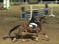 (4�) 1,20.- El Cortijo - Telde Gran Canaria.