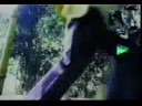 Solo amame   -   Los inquietos
