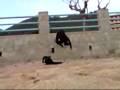 videos de Blood Trooper VS Arkange