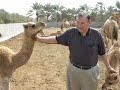 Dad at the Camel Farm Dad at the Camel Farm