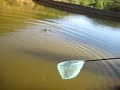 pesca de carpa en ciudad real