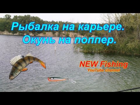 когда рыбачить на поппер когда рыбачить на поппер