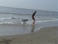 skimboarden=)