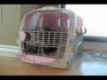 Houdini Puppy Escapes Crate