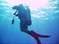 Shark Diving in Tahiti with Neutral Dive Gear