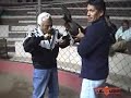 Don Ceferino Gutierrez