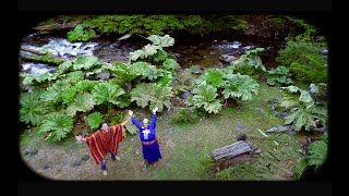 Jesús Hidalgo Feat. Premavatar/ Canto da Terra (video oficial) Musica Medicina