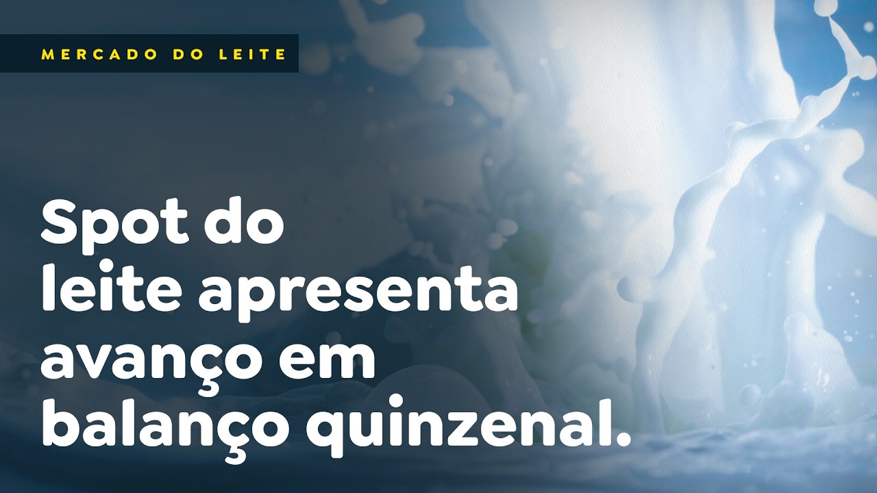 Spot do leite apresenta avanço em balanço quinzenal.