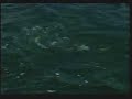 PESCARIA - RUBINHO PESCA JAÚ