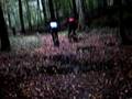 VTT FORET DE MORMAL 3