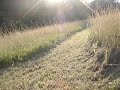 go cart in field trails