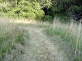 go cart in field trails