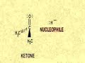Nucleophilic Addition Reaction