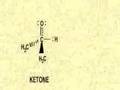 Nucleophilic Addition Reaction