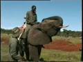 Zimbabwe Safari 2