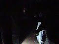 DnB baron club ?eletava DnB baron club ?eletava