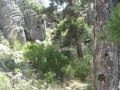 DİRMİL * BALBURA * KİBİRYA