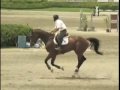 Samira-Grand Prix Prospect Samira-Grand Prix Prospect