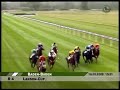 lanson-cup baden-baden, 18. mai 2008, der ungar overdose gewinnt mit 9 l�ngen das ex-scherping-rennen