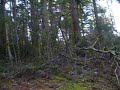 P1070476