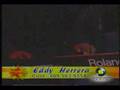 Eddy Herrera - Amor de Loco ( www.facilventa.com )