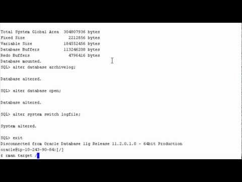 how to know rman catalog version