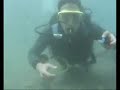 Centro de Buceo Hesperides y Casco Antiguo Murcia