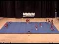 SANDERSON CHEERLEADING 2008 NCHSAA STATE CHAMPION
