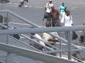 Video of E. Williams, L. Linton, E. James Arriving St. Kitts 9/13/2007 Video of E. Williams, L. Linton, E. James Arriving St. Kitts 9/13/2007