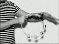 a little clip for the new frank popp singel hey mr. innocent.. out soon on tv eye records... enjoy