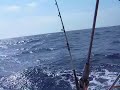 8kts off West Coast of Sicily