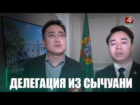 Руководство Гомельщины и Сычуаньская делегация определили направления взаимодействия видео