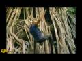videos de Lost Promo - trailer nr8 [HD] 2.12